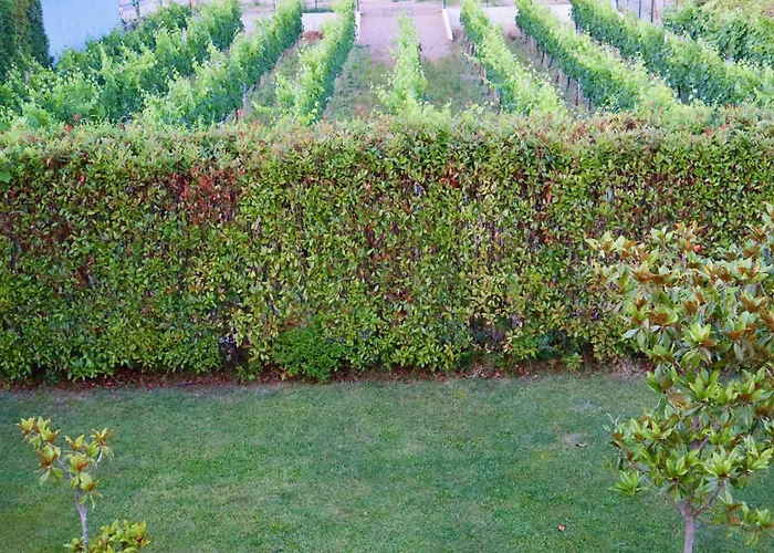 Demaj House * Grilë