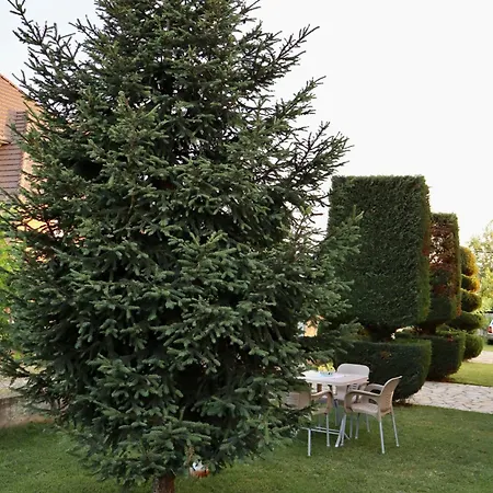 Demaj House Apartment Grilë