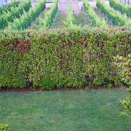 Demaj House * Grilë