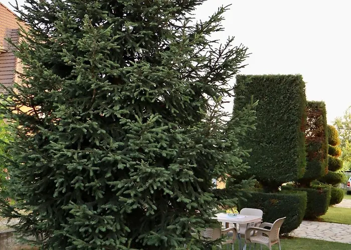 Demaj House Apartment Grile